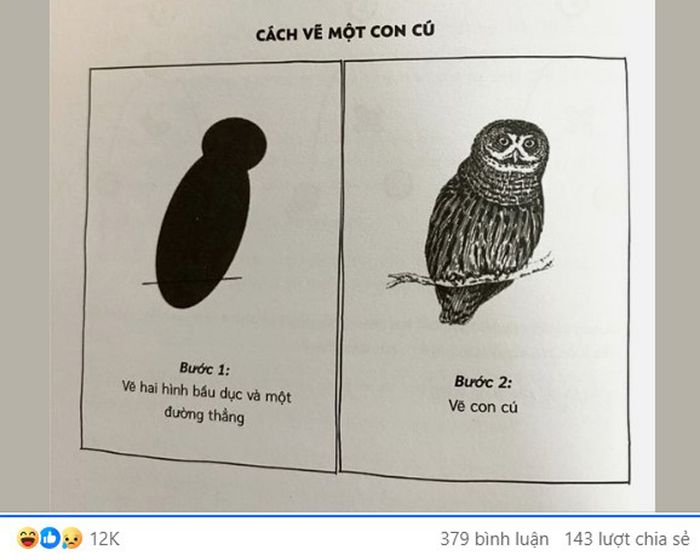 Cách vẽ con cú khiến 'hàng ngàn người cảm động'