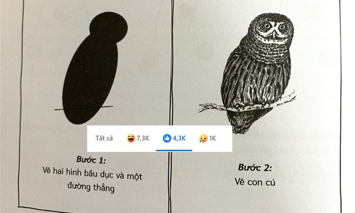 Cách vẽ con cú khiến 'hàng ngàn người xúc động'