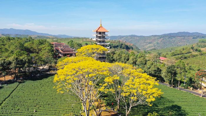 Tu viện Bát Nhã