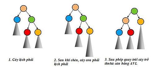 Trường hợp RR