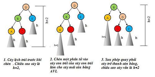 Trường hợp LL