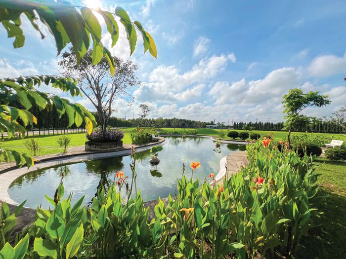 Tăng trưởng xanh giúp Masan Group thu hút vốn ngoại - Ảnh 2.