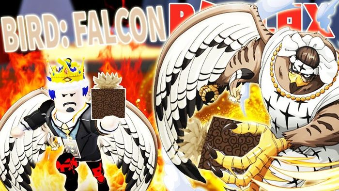 Danh sách trái ác quỷ hạng C trong Meme Sea được cập nhật mới nhất