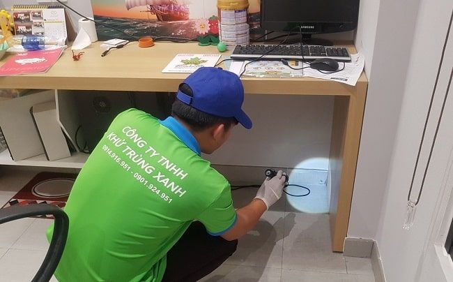 Công ty GFC diệt mối quận 3