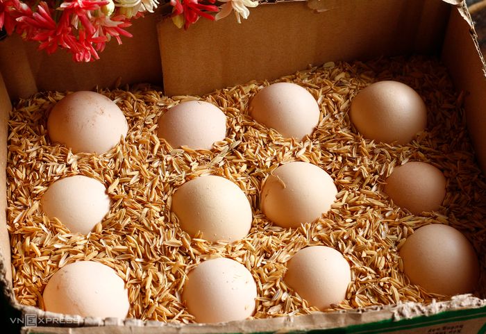 8 mẹo bảo quản trứng không cần tủ lạnh