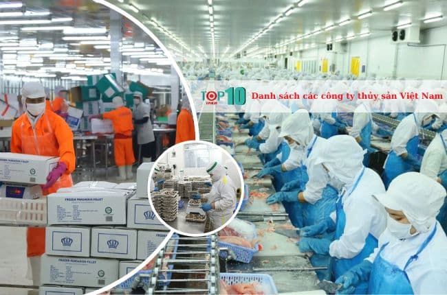 Danh sách các doanh nghiệp thủy sản tại Việt Nam