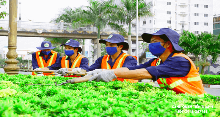 Phương Trung Green