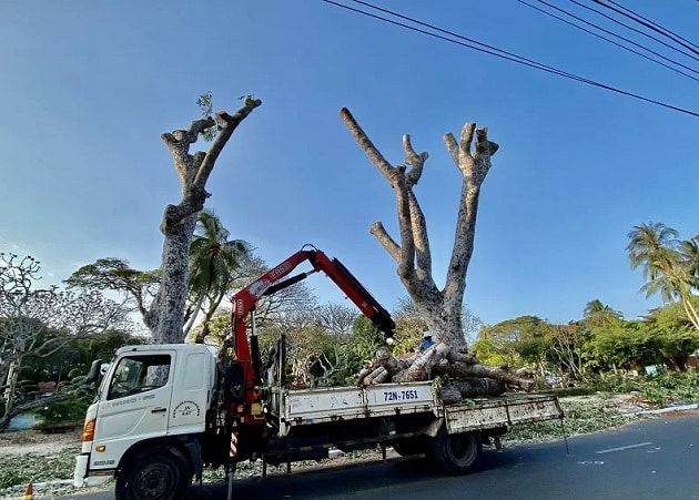 Công ty xây dựng và môi trường Huy Hoàng