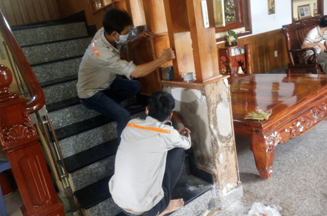 Công ty Trần Anh diệt mối tại quận 10