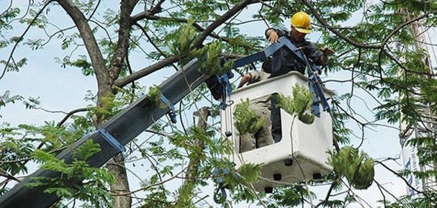 Công ty TNHH Bảo Dưỡng Sân Vườn Ánh Sao