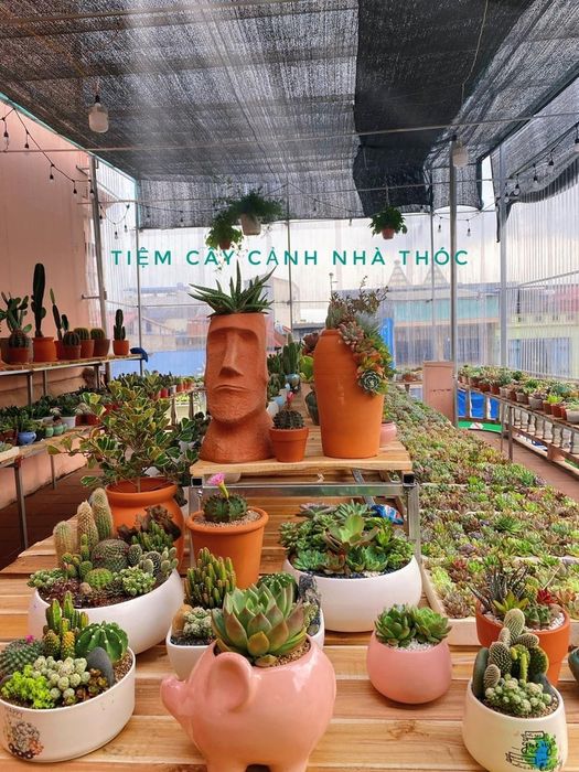 Tiệm Cây Cảnh Nhà Thóc
