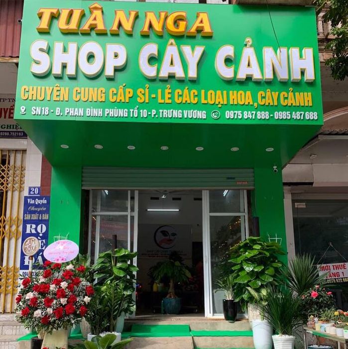 Cửa Hàng Cây Cảnh Tuân Nga