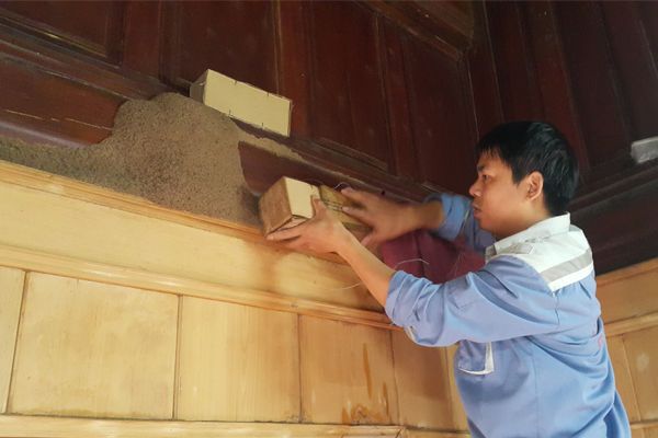 Công ty diệt mối Thành Công