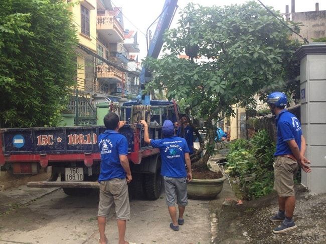 Mẹo vận chuyển cây cảnh hiệu quả