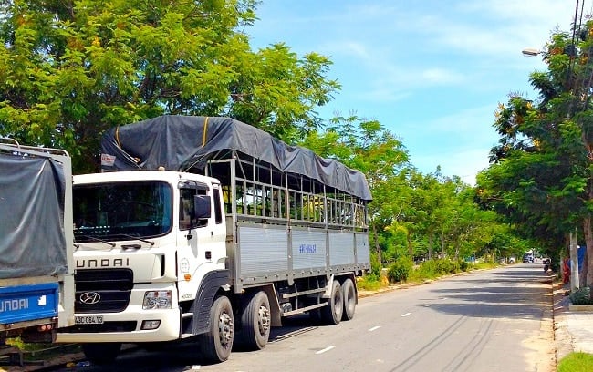 Công ty vận tải Bình Hương Thịnh