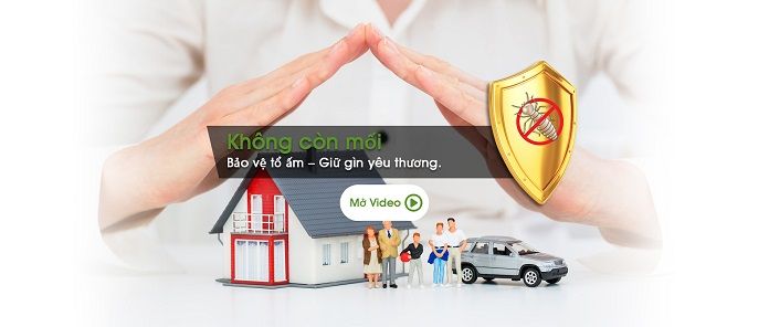 Công ty diệt mối tại Củ Chi - Hạnh Long