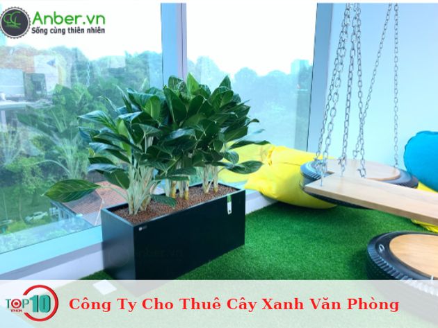 Công Ty Cho Thuê Cây Xanh Văn Phòng