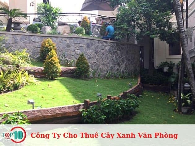 Công ty cho thuê cây xanh văn phòng