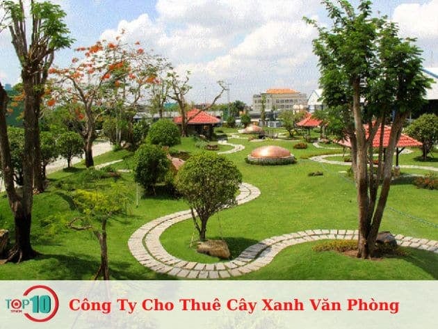 Dịch Vụ Cho Thuê Cây Xanh Văn Phòng