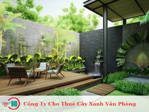 Công Ty Cho Thuê Cây Xanh Văn Phòng