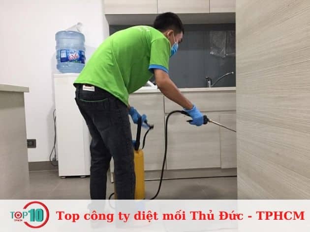 Công Ty Diệt Mối Hạnh Long