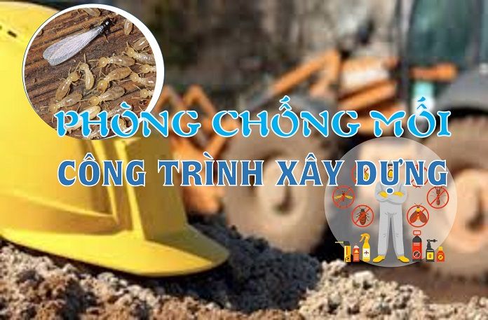 Công ty diệt mối Hùng Thịnh tại Thủ Đức