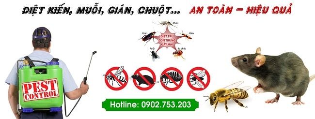 Diệt gián tại Đại Toàn Việt