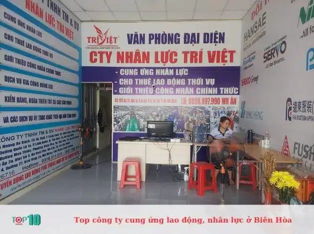 Công ty Trí Việt về Nguồn nhân lực