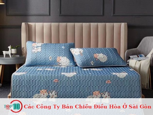 Các công ty cung cấp chiếu điều hòa tại Sài Gòn