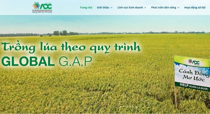 Top 10 cửa hàng uy tín tại TP.HCM cung cấp thuốc bảo vệ thực vật an toàn và hiệu quả - ADC