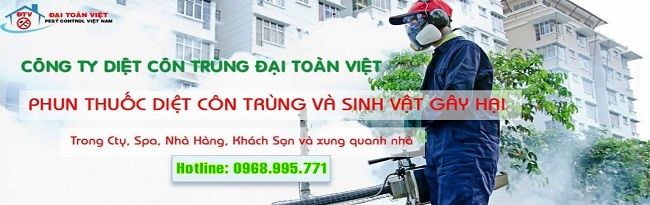 Dịch vụ diệt mối tại quận 12 của Đại Toàn Việt