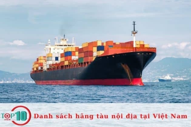 Công ty vận tải biển nội địa quy mô lớn | Nguồn: Hãng tàu nội địa Vinalines