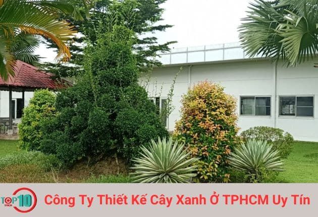 Công Ty Thiết Kế Cây Xanh Phú Quốc Dragon