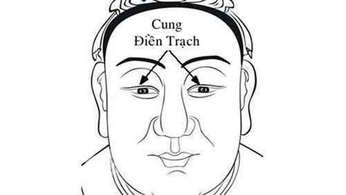 Cung Điền Trạch rộng