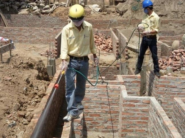 Công ty diệt mối Thăng Long tại quận 11