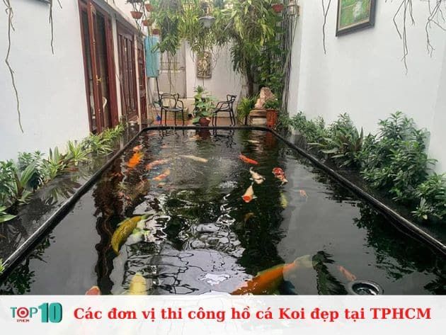 Các đơn vị thi công hồ cá Koi đẹp tại TPHCM