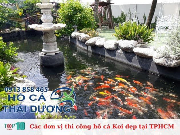 Các đơn vị thi công hồ cá Koi đẹp tại TPHCM