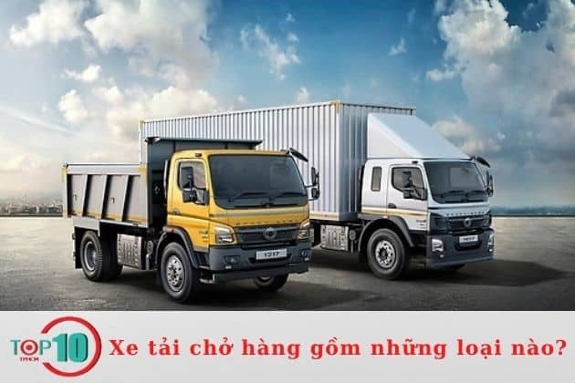 Các loại xe tải chở hàng hiện nay là gì? | Nguồn: Internet