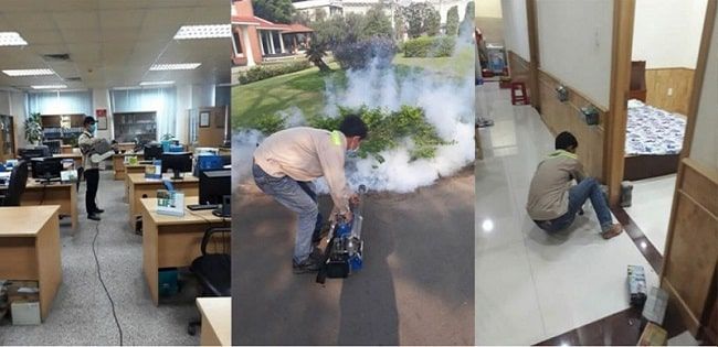 Công ty diệt mối Đại Việt Pest Control