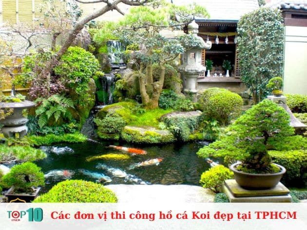 Danh sách các đơn vị thi công hồ cá Koi nổi bật tại TP.HCM