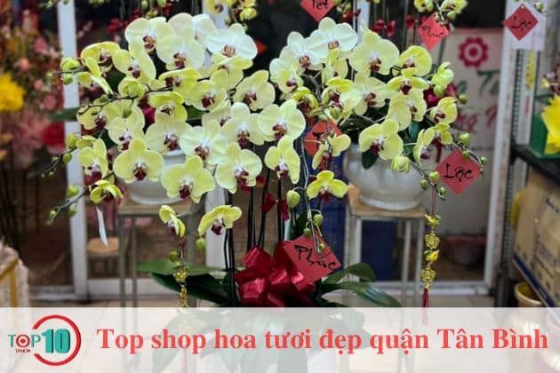 Shop hoa tươi SG