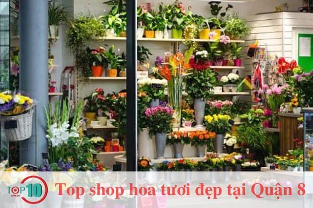 Shop hoa tươi Dương Bá Trạc