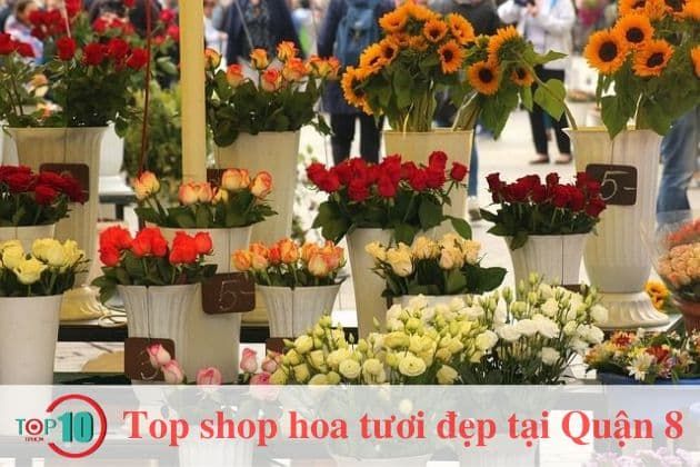 Các cửa hàng hoa tươi nổi bật tại Quận 8