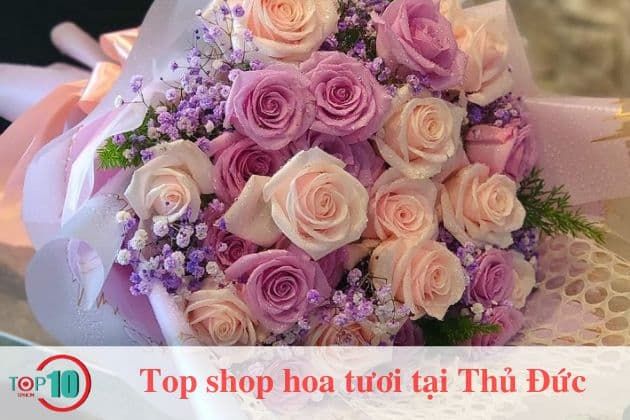 Cửa hàng hoa tươi 555