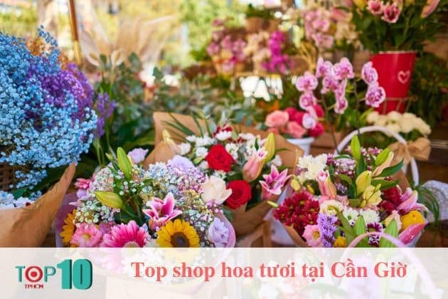 Những cửa hàng hoa tươi đẹp tại Cần Giờ