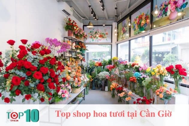 Cửa hàng hoa tươi Phi Mã