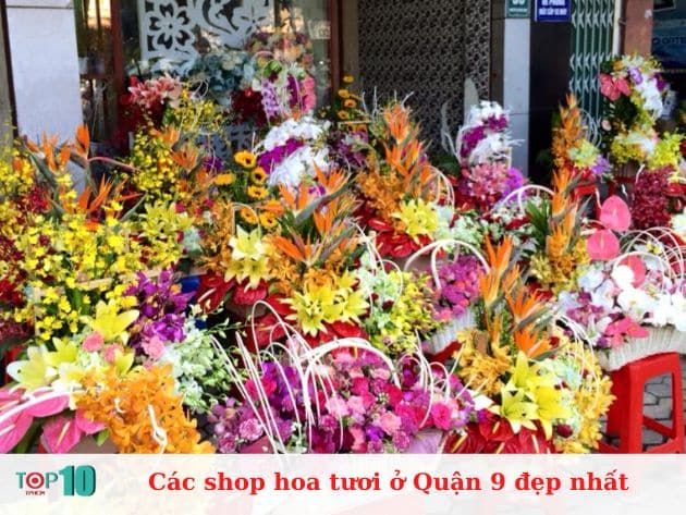 Những cửa hàng hoa tươi đẹp nhất ở Quận 9