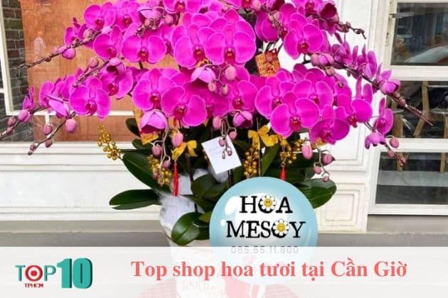 Cửa hàng Hoa Tươi Mesoy