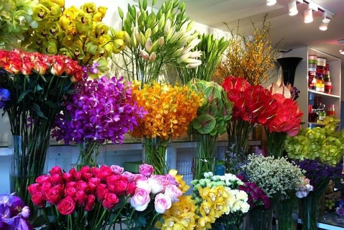 Shop hoa tươi Huế - Thiên Đường Hoa