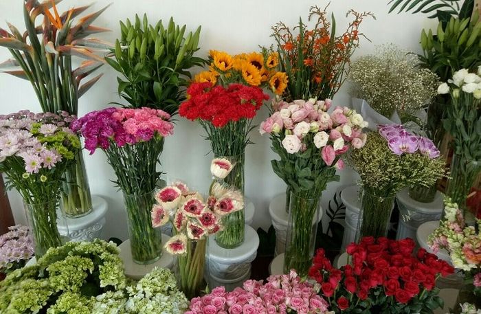 Top 10 cửa hàng hoa tươi đáng tin cậy nhất ở Huế - Thiên Thu